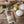 Load image into Gallery viewer, Gin