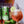 Load image into Gallery viewer, RTD Single Can: Frustrated Artist
