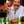 Load image into Gallery viewer, 4 Pack RTD: Frustrated Artist
